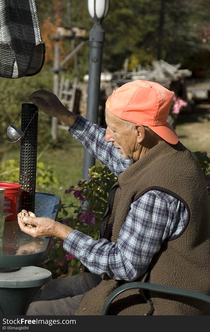 Senior man putting peanuts  for the birds into a manger. Senior man putting peanuts  for the birds into a manger