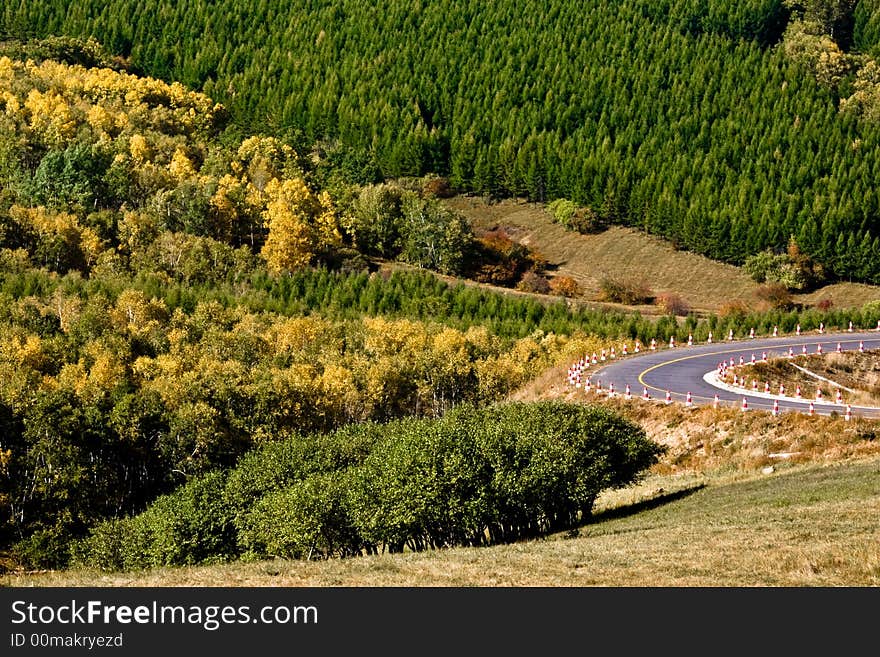 Autumn,Mongolia road and birth