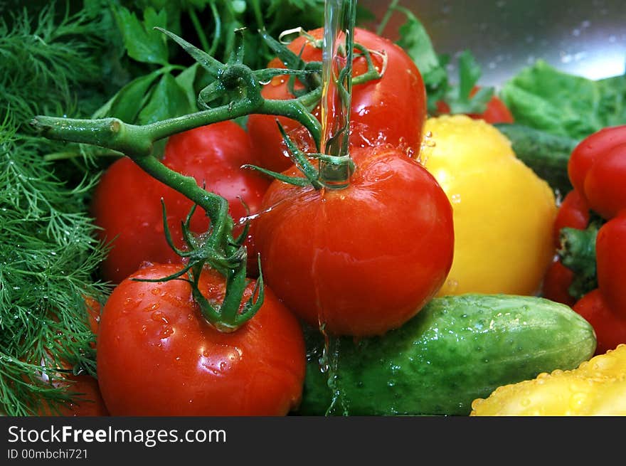 Beautiful, different vegetables, many species