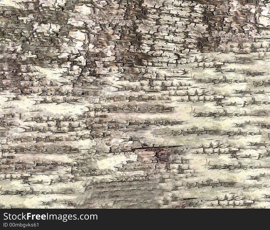 Close-up HQ bark of birch texture to background