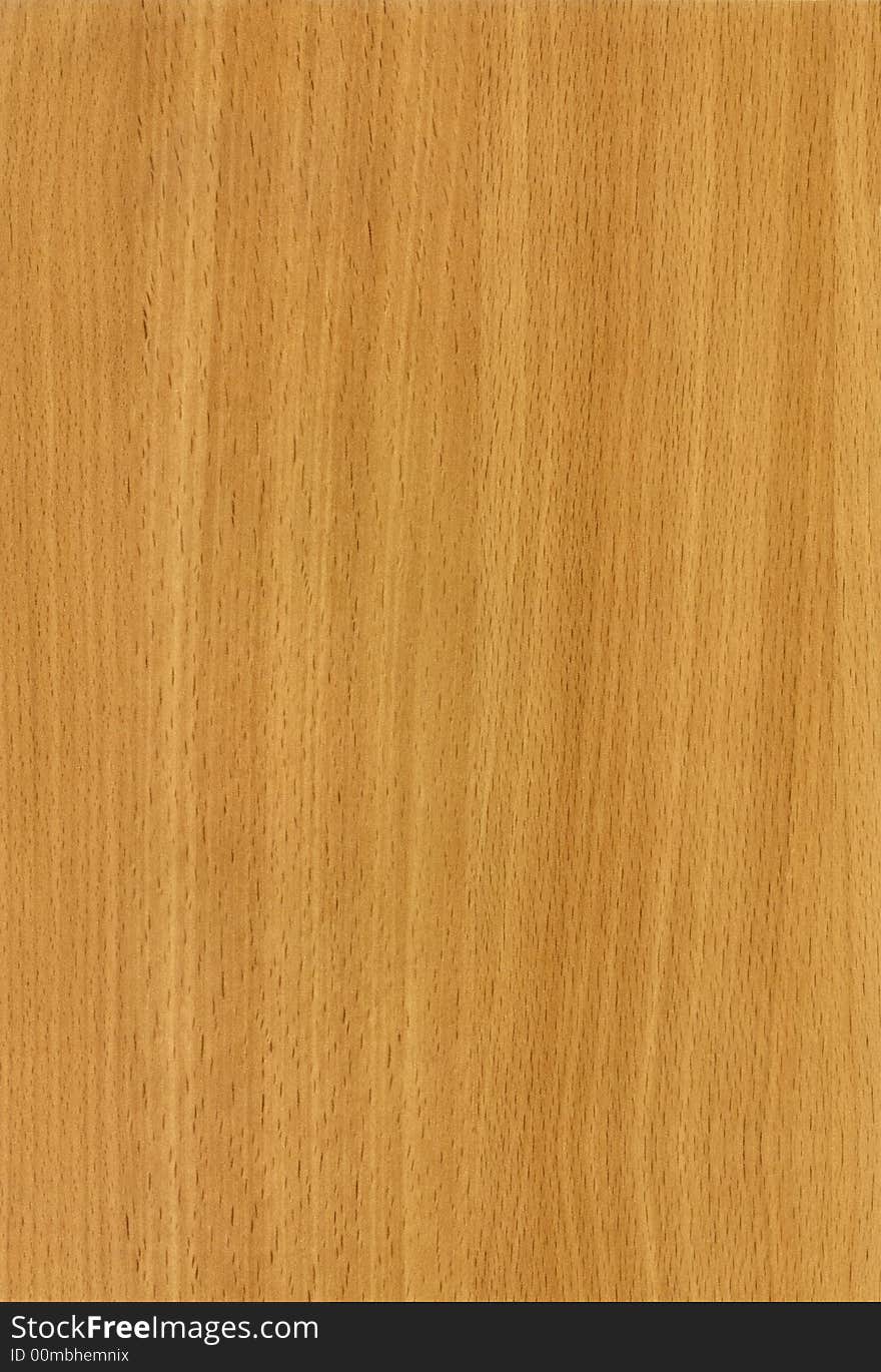 Wooden Beech Bavaria Texture