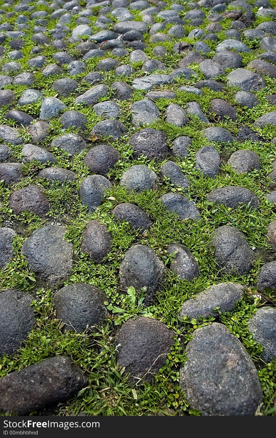 A close up of a typical medieval paving in Bologna - Italy - with grass and pebbles. Cobbled paving. A close up of a typical medieval paving in Bologna - Italy - with grass and pebbles. Cobbled paving.