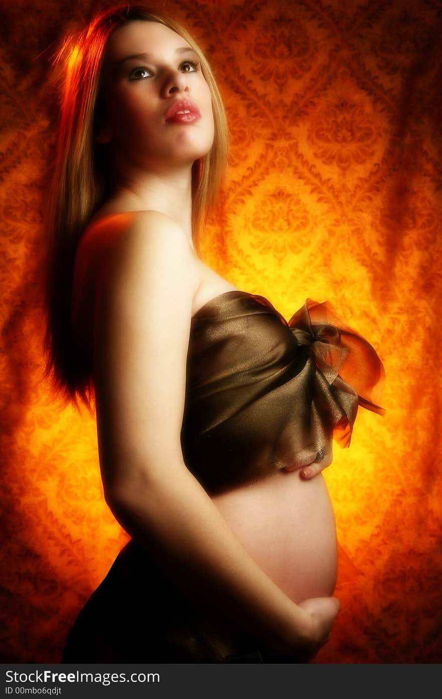 Artistic Maternity