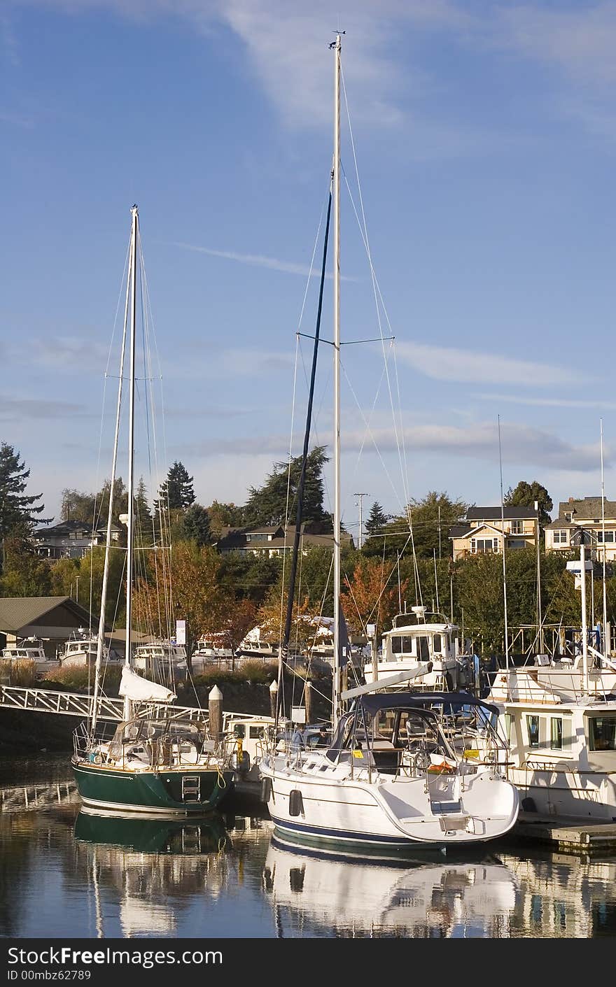 White and Green Sailboats