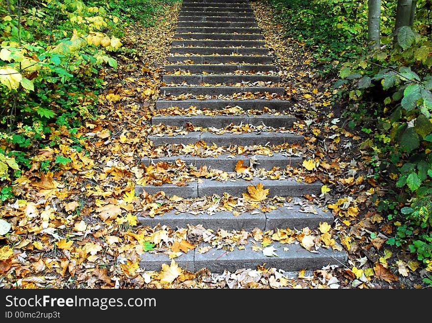 Image of yellow autumn leaves on staircase