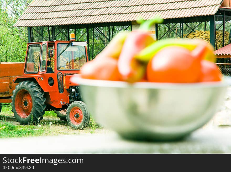 Fresh Vegetables