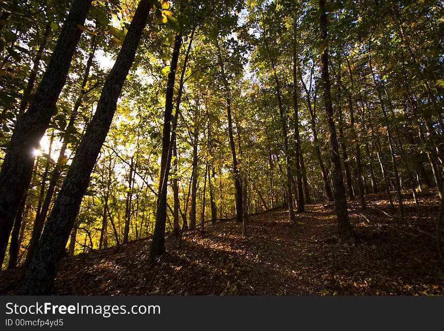 Wide angle view of hiking trails in the fall or autumn of the year. Wide angle view of hiking trails in the fall or autumn of the year