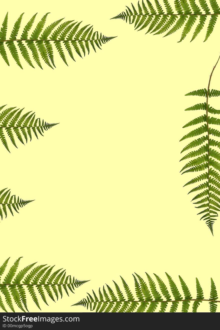 Seven Fern Leaves