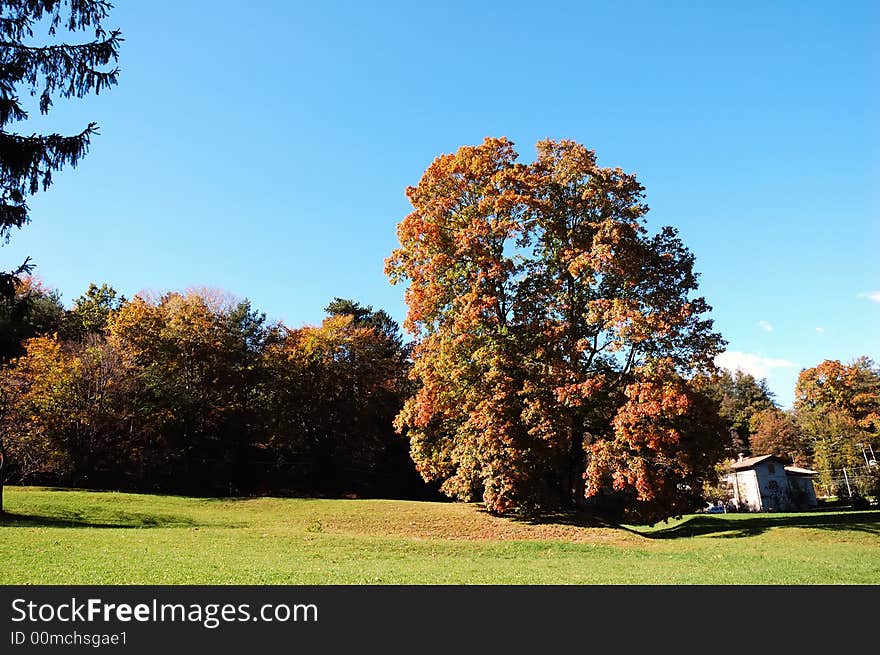 Country landscape during fall season. Country landscape during fall season