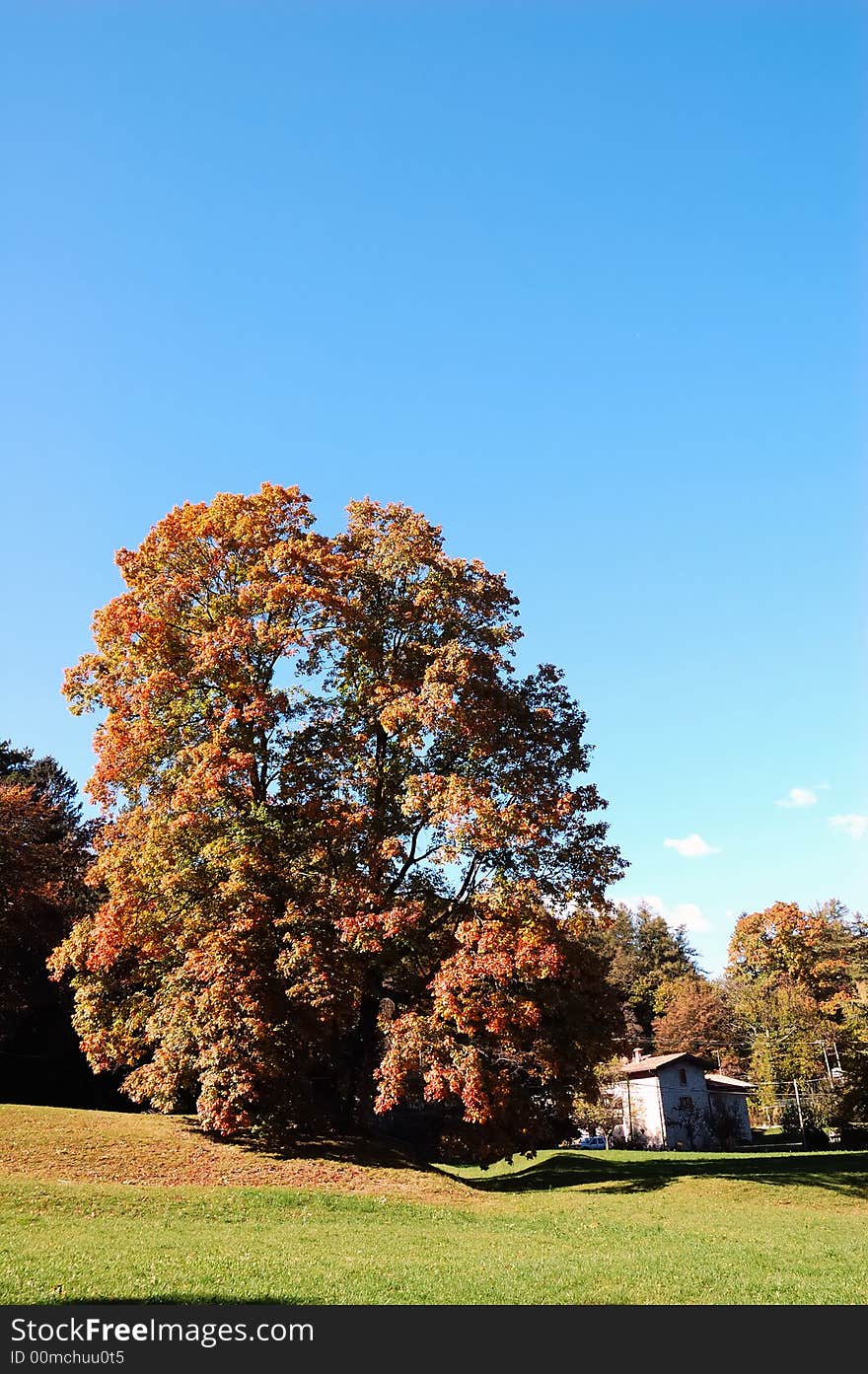 Country landscape during fall season. Country landscape during fall season