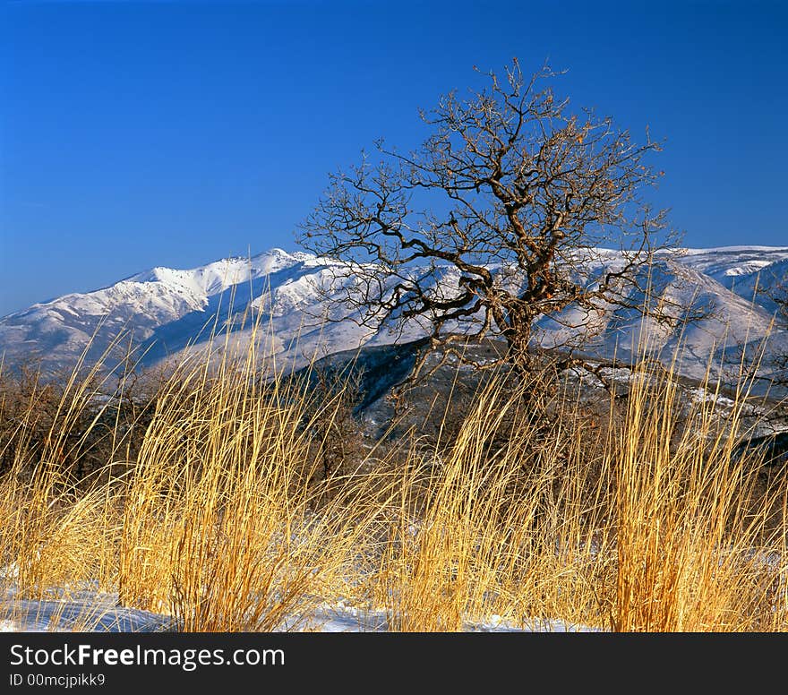 A Mountain View In Winter