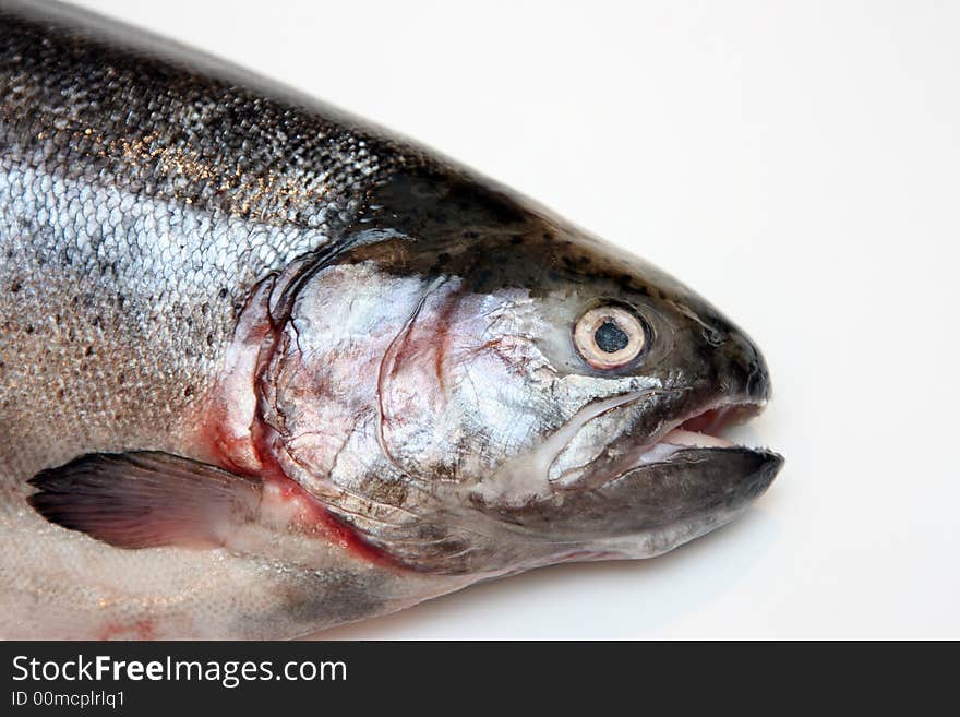 Fresh salmon.Head of a fish. Isolation on white.