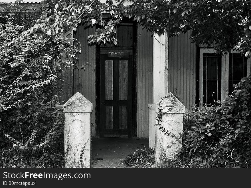 Black and White doorway door overgrown