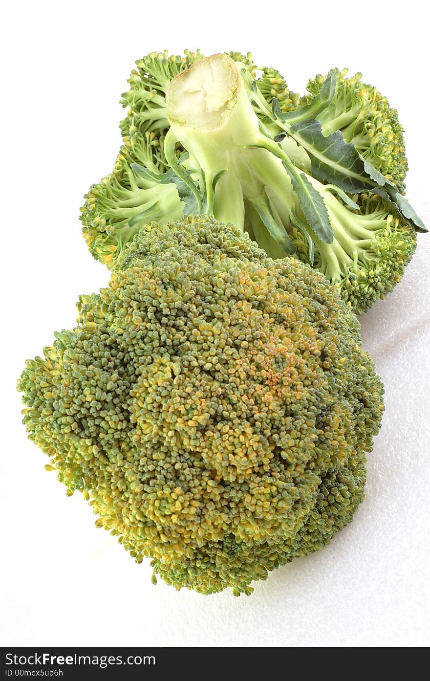 Broccoli isolated on the white