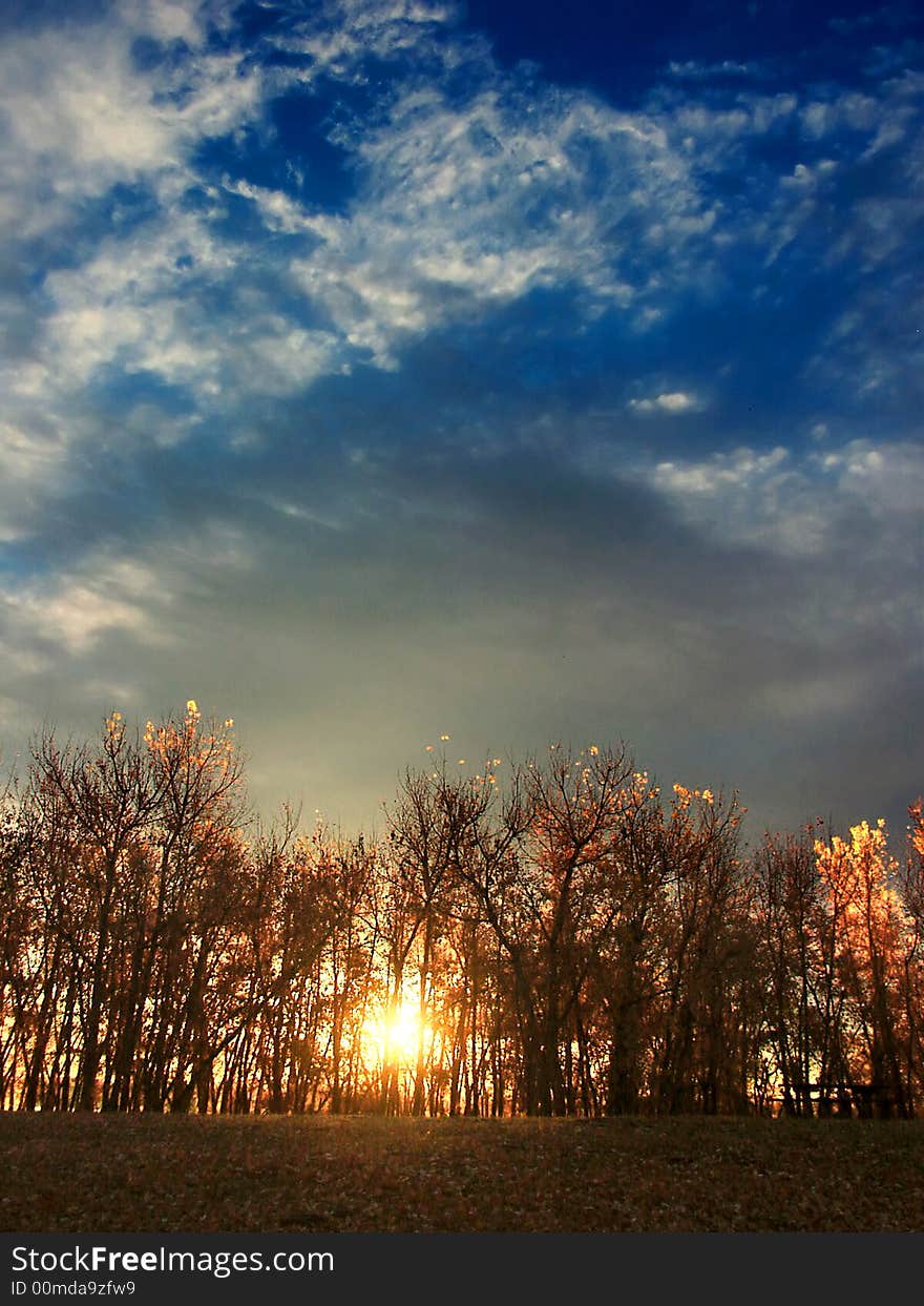 Autumn Sunrise with Trees Back lit in sunlight. Autumn Sunrise with Trees Back lit in sunlight