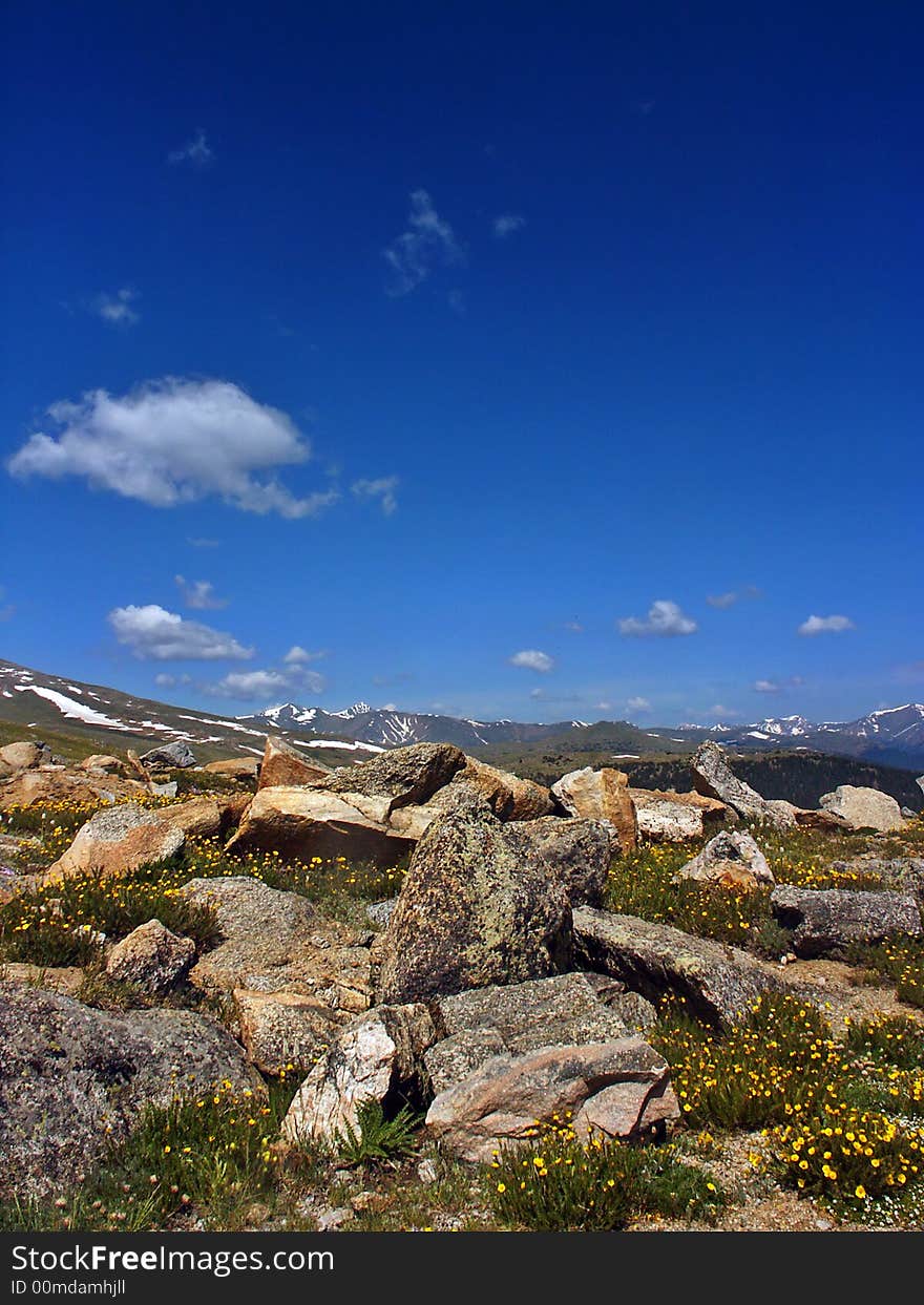 Colorado Mountain Tundra and W