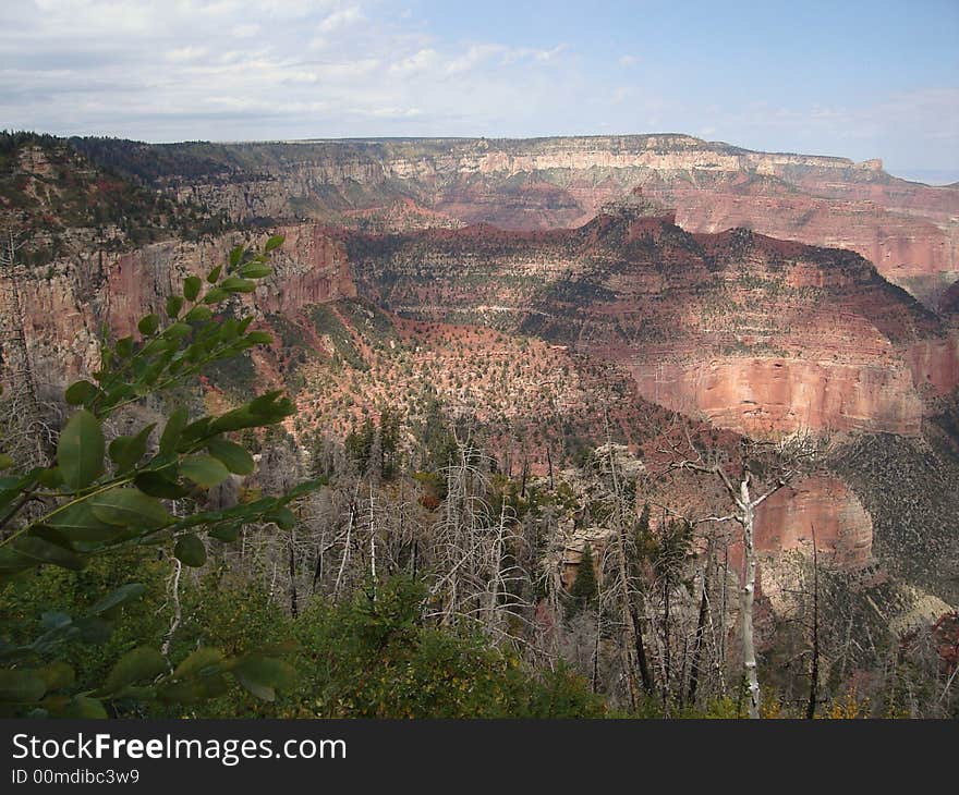 North Rim