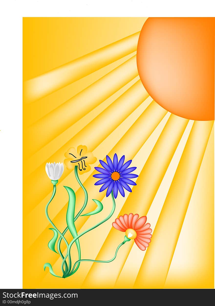 Summer illustration, with color flower. Summer illustration, with color flower