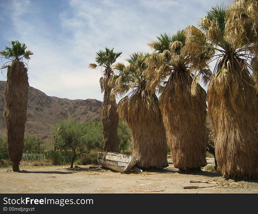 Zzyzx - Mojave Nat. Preserve