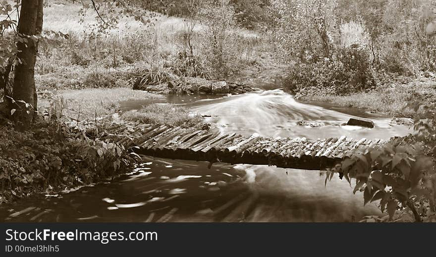 An image of a footbridge in autumn forest