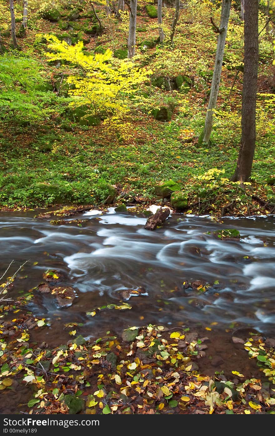 An image of river in autumn forest. An image of river in autumn forest