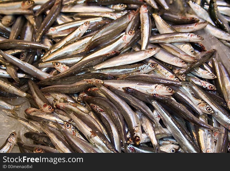 Anchovies