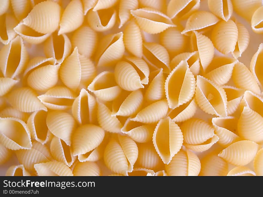 Cockleshell spagetti background ot texture