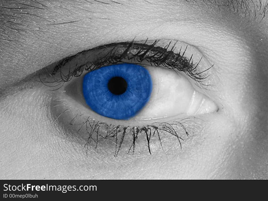 Beautiful  blue women eye black and white photo. Beautiful  blue women eye black and white photo