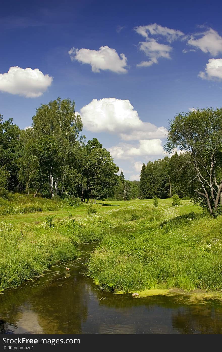 Forest stream