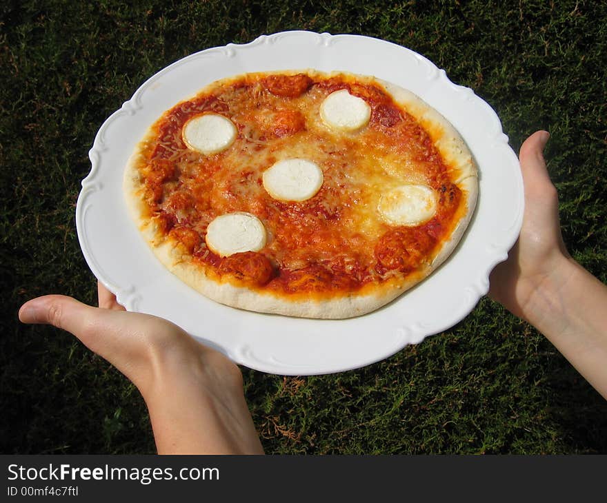 A delicious cheese and tomato pizza. A delicious cheese and tomato pizza