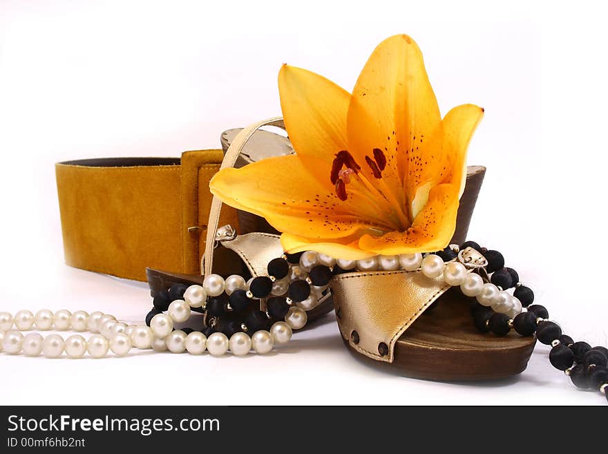 Belt with gold shoes isolated on a white background