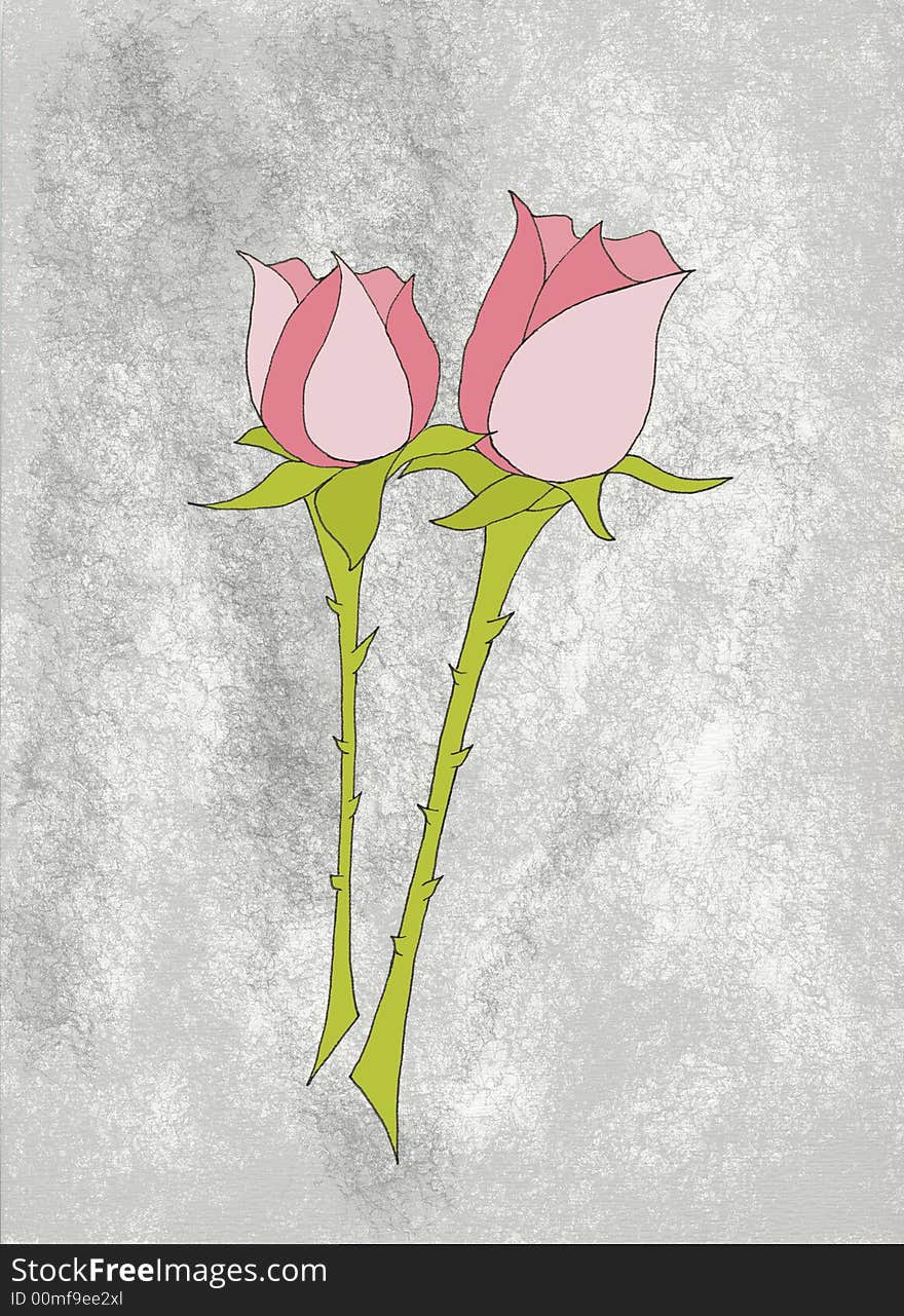 Two pink roses with thorny stems on gray background