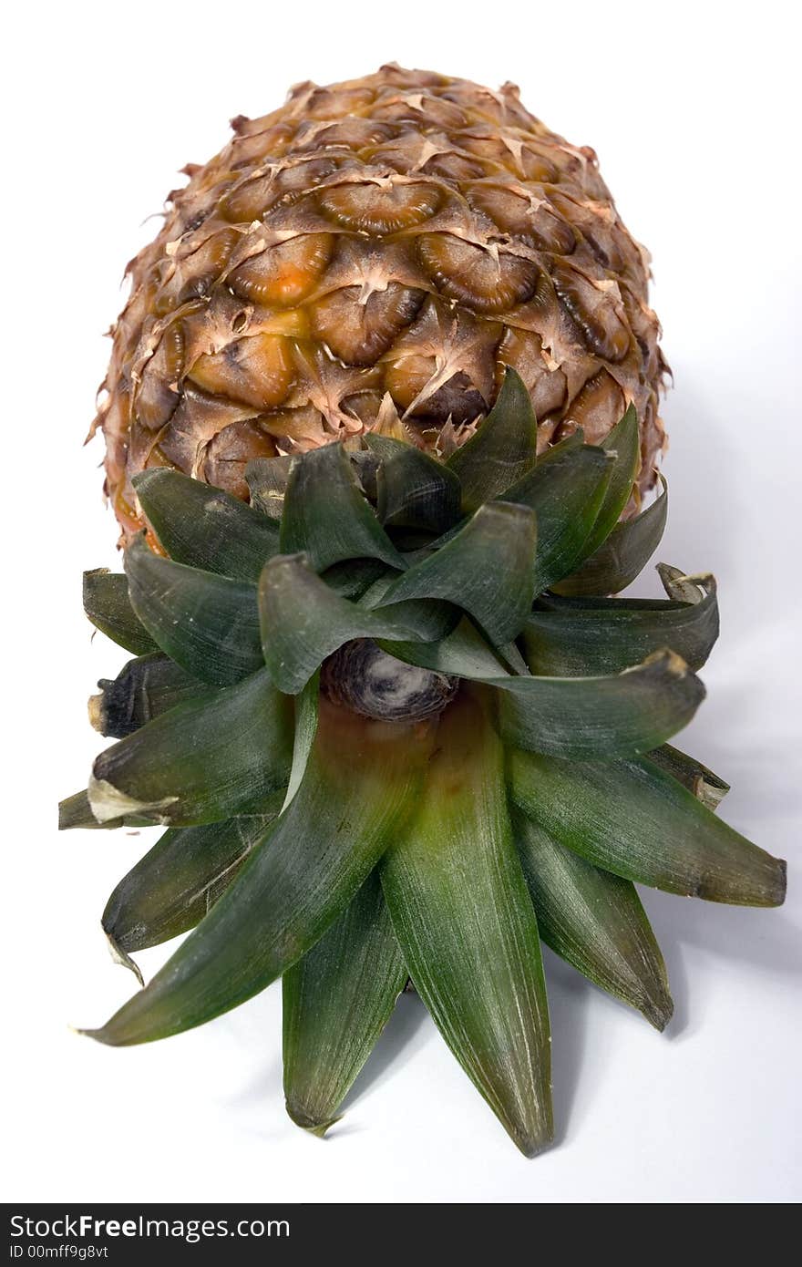 Pineapple isolated on white background,fruit