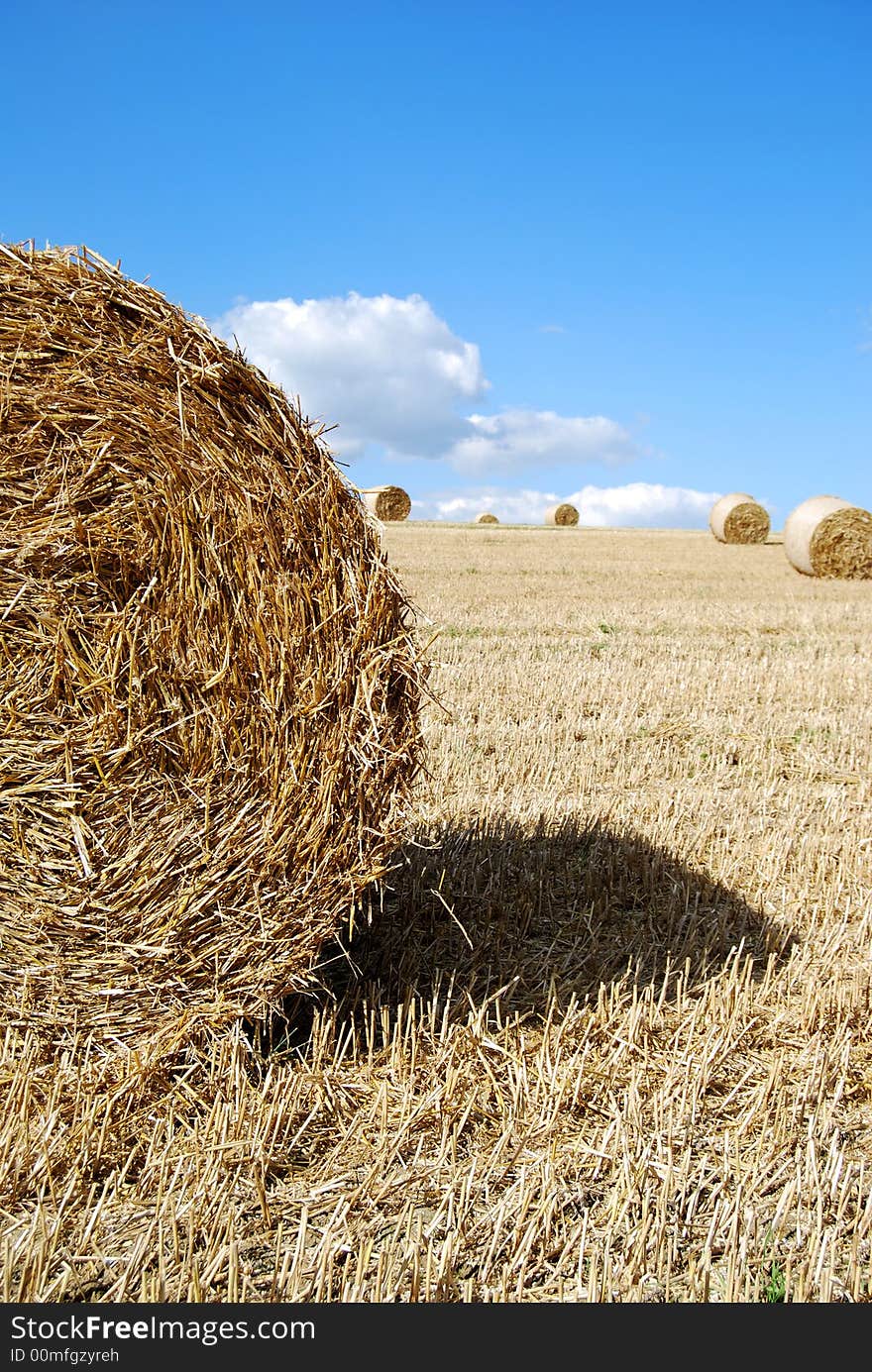 Close Photo Of A Hay Bale