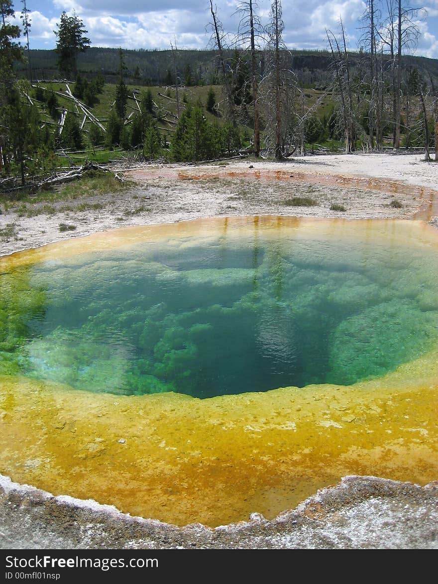 Morning Glory Pool is located in Yellowstone National Park.