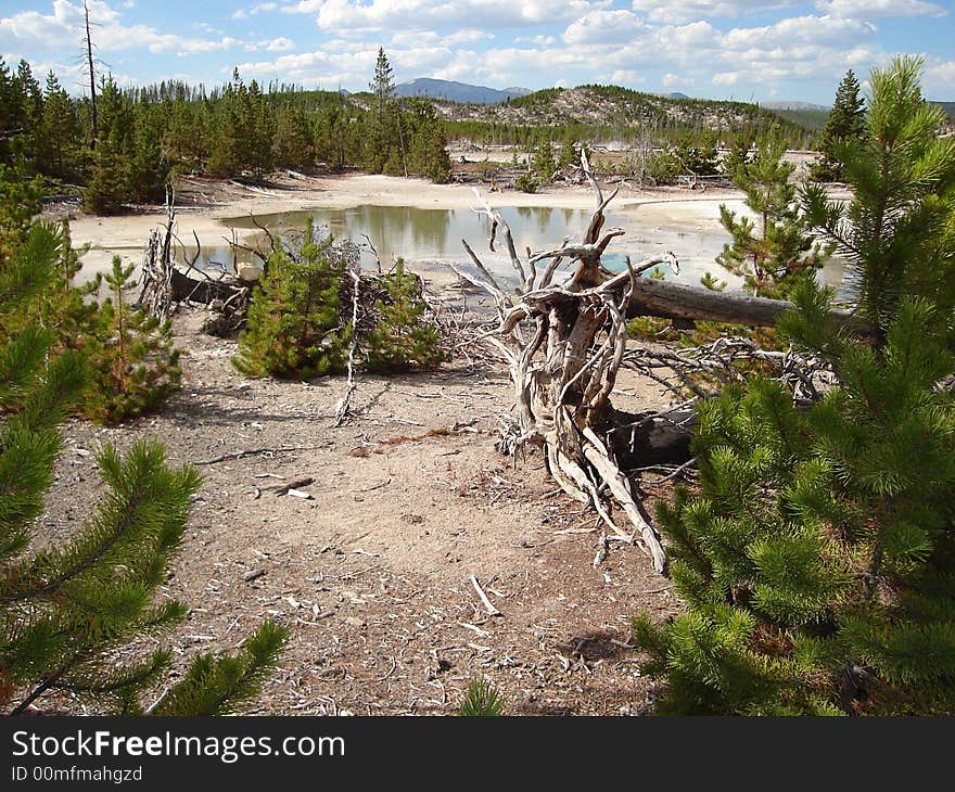 Norris Geyser Basin