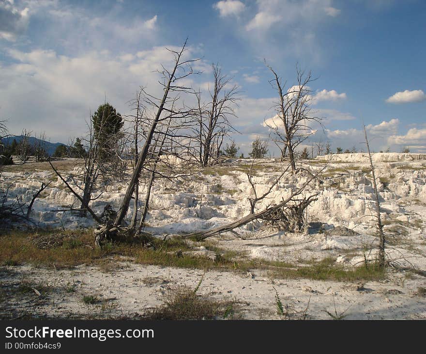 Mammoth Hot Springs is located in Yellowstone National Park.