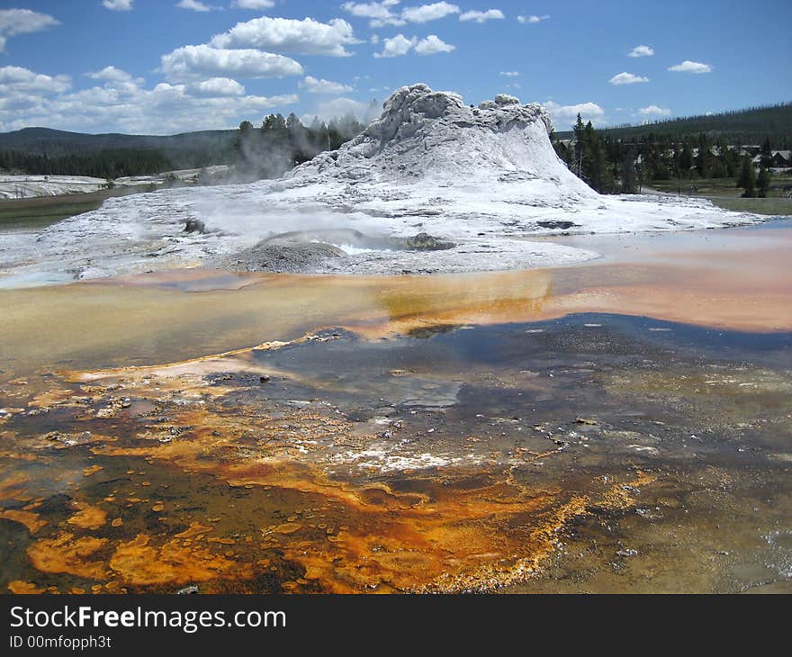 The Picture of Castle Geyser was taken in Yellowstone National Park.