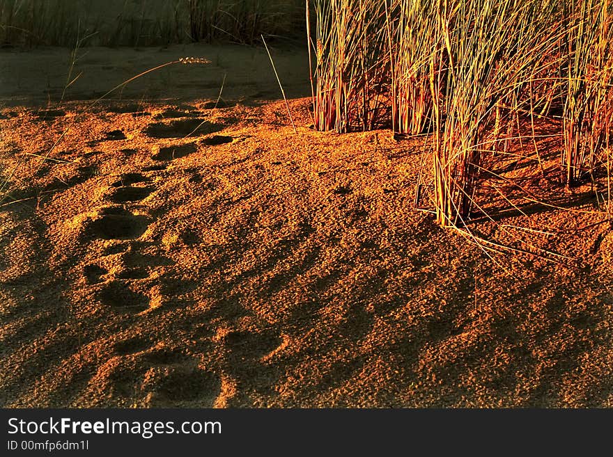 Sand dunes