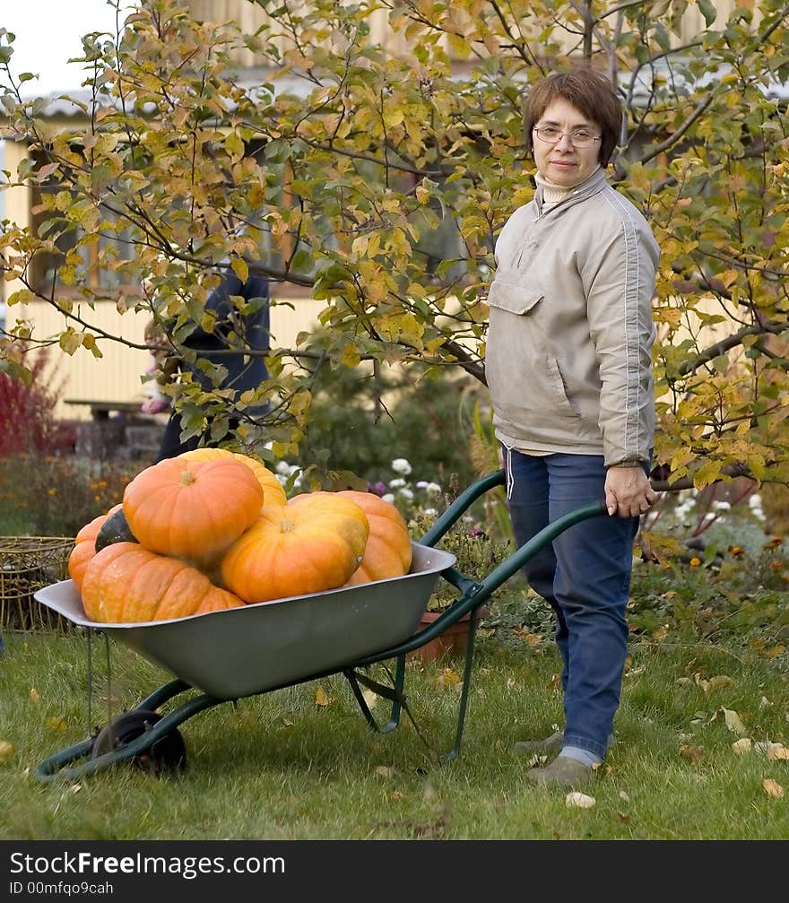 Autumn in the garden, woman in grey jacket and jeans wheel a barrow full of pumpkins. She look to a viewer and smile. There is an apple-tree and a house on background. Autumn in the garden, woman in grey jacket and jeans wheel a barrow full of pumpkins. She look to a viewer and smile. There is an apple-tree and a house on background.