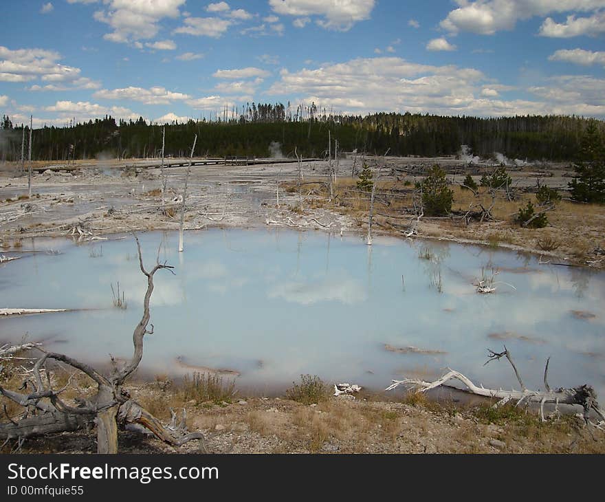 Norris Geyser Basin