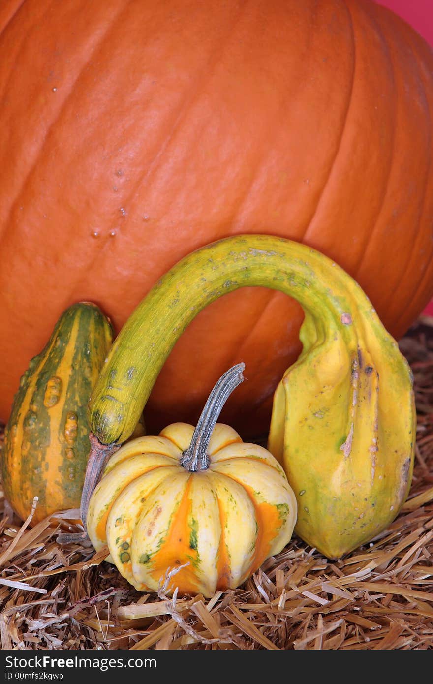 Halloween pumpkins