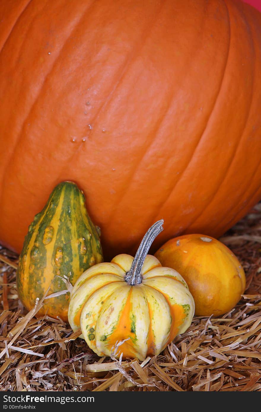 Halloween pumpkins