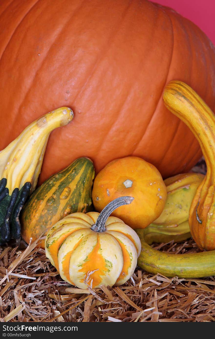 Halloween pumpkins