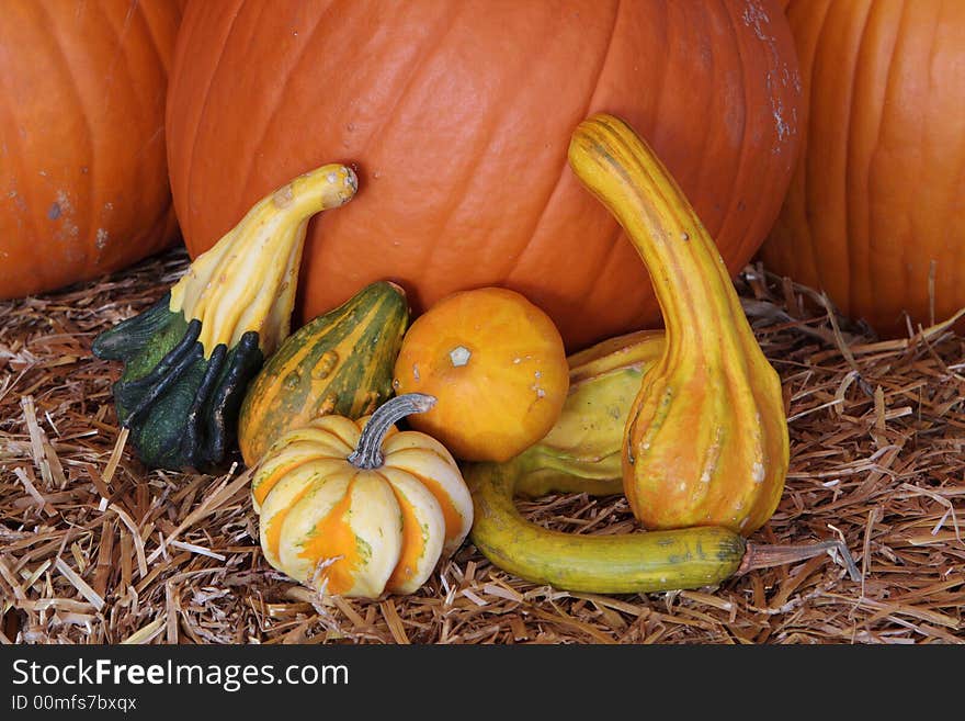 Halloween Pumpkins