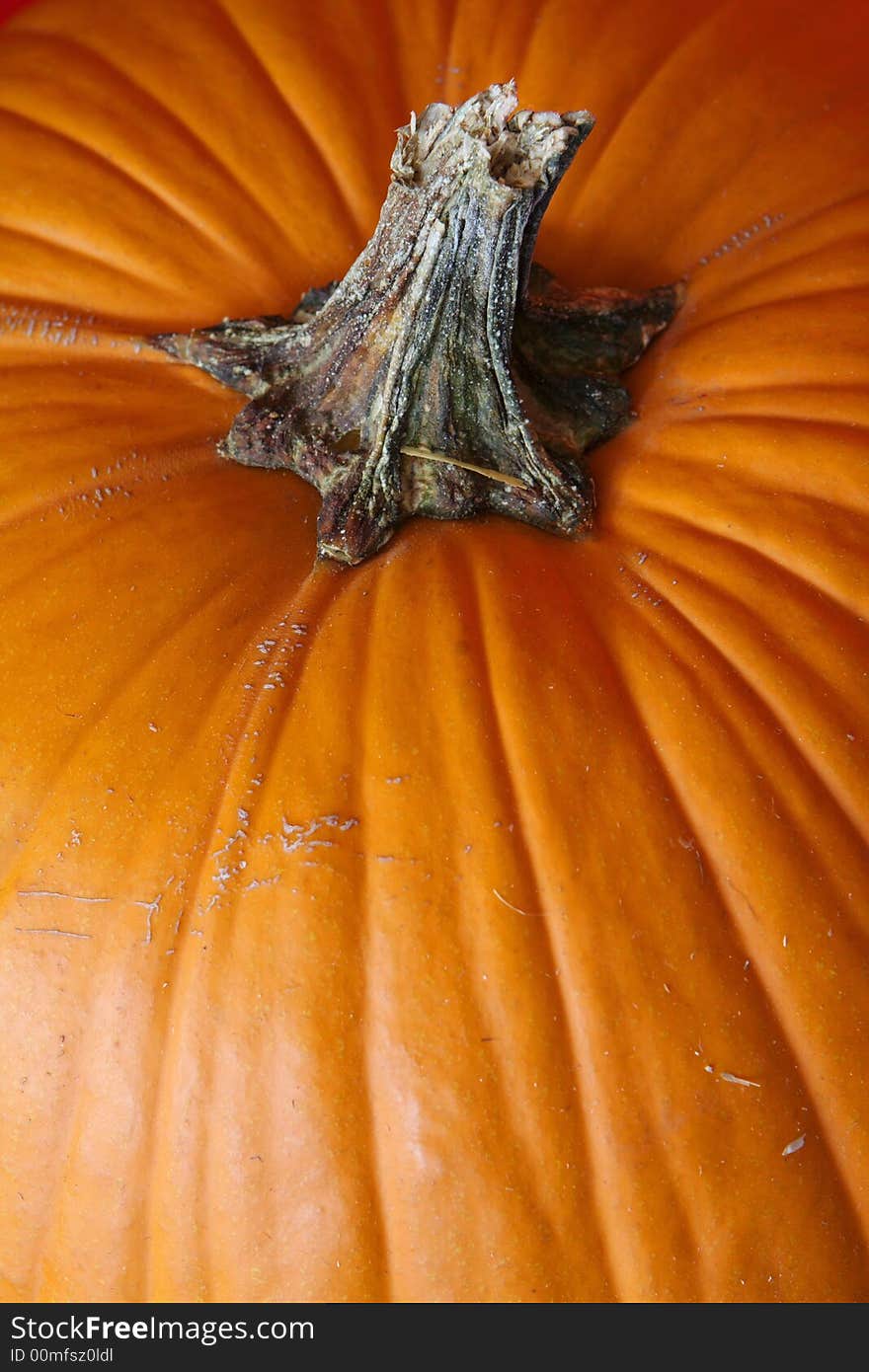 Halloween pumpkin