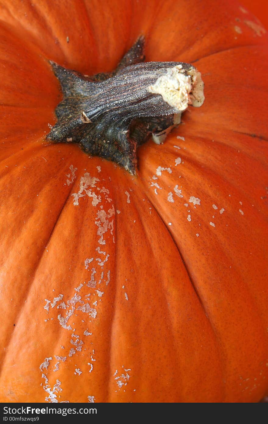 Halloween pumpkin