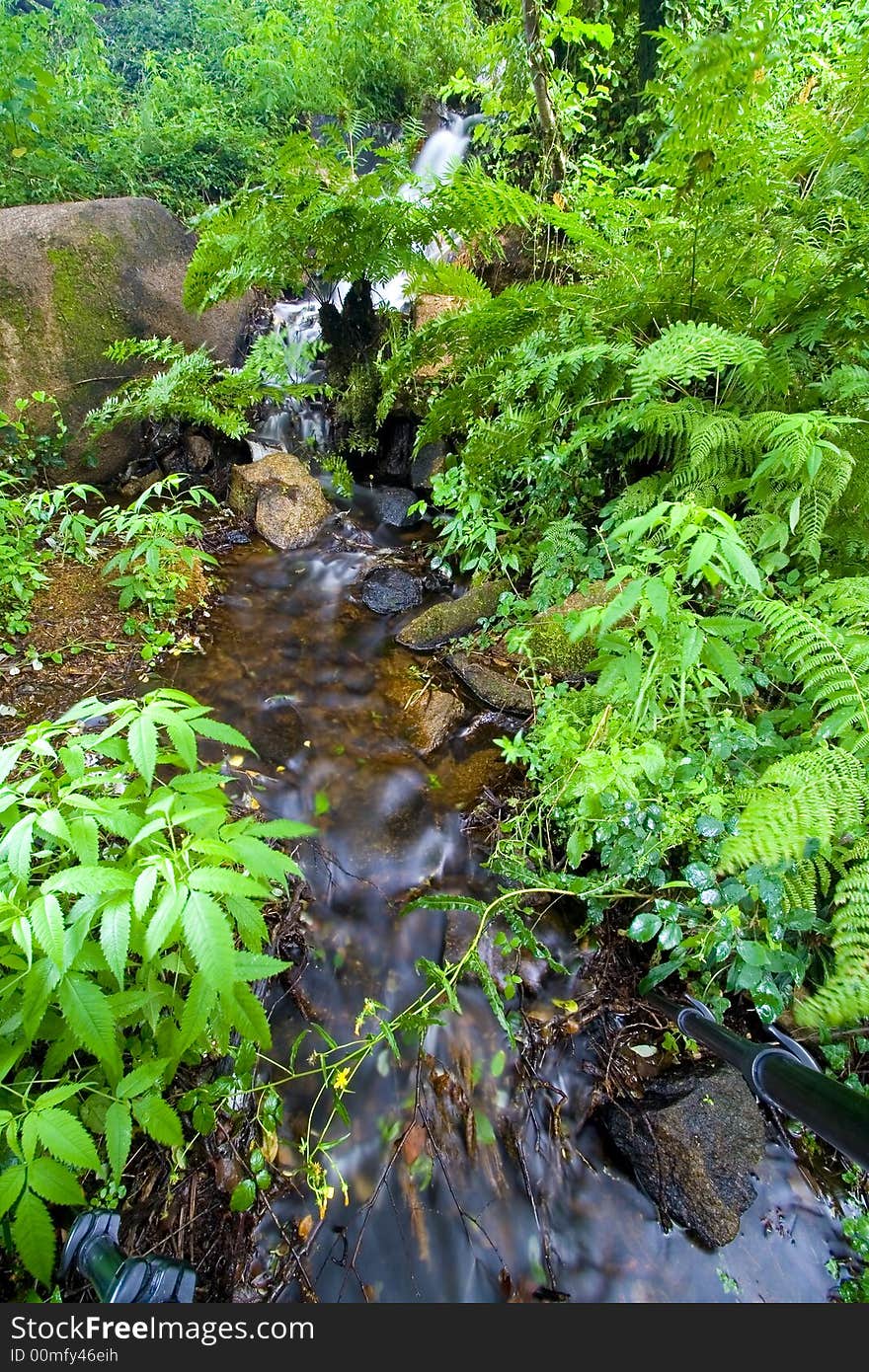 Waterfall in the forest