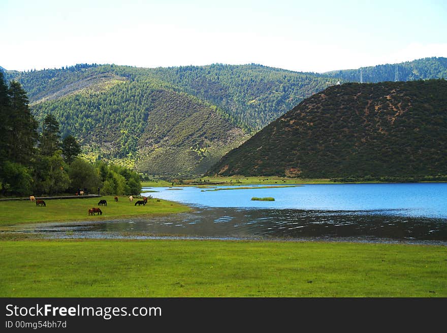 Lake mountain and grassland in DiQing Tibetan Autonomous Prefecture, China. Lake mountain and grassland in DiQing Tibetan Autonomous Prefecture, China