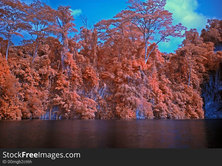 Infrared photo – tree and lake